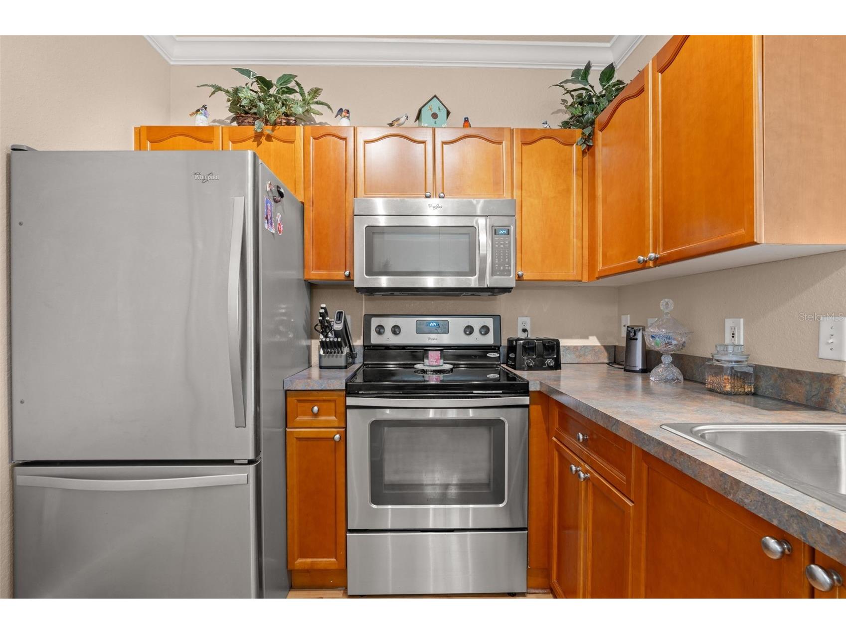 2765 Via Cipriani #1232A Clearwater FL 33764 TB8489428 image9