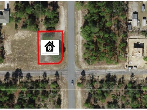 2765 W Arbutus Drive Citrus Springs FL 34433 O6276147 image1