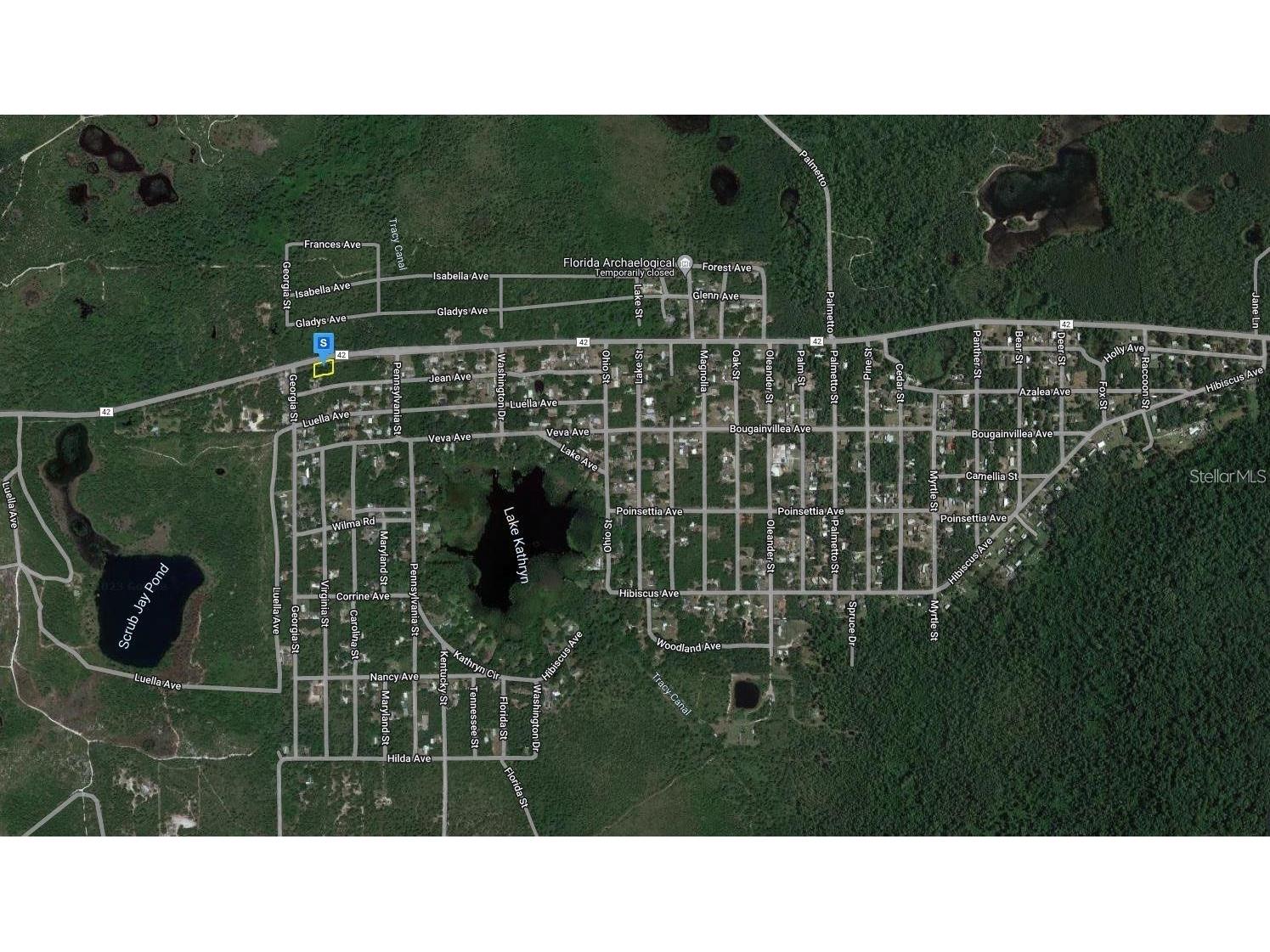 27654 County Road 42 Paisley FL 32767 O6386311 image3