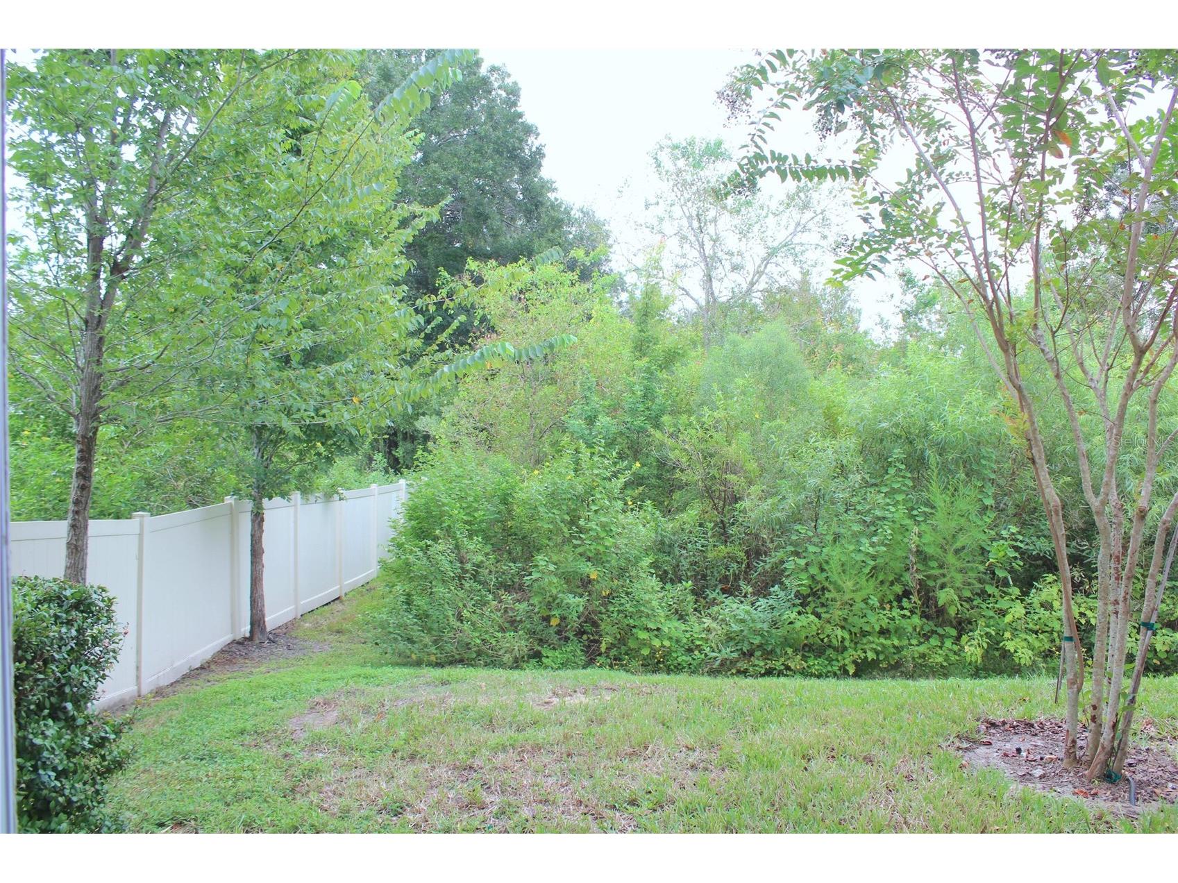 2769 Scarlet Bay Place Brandon FL 33510 O6377113 image2