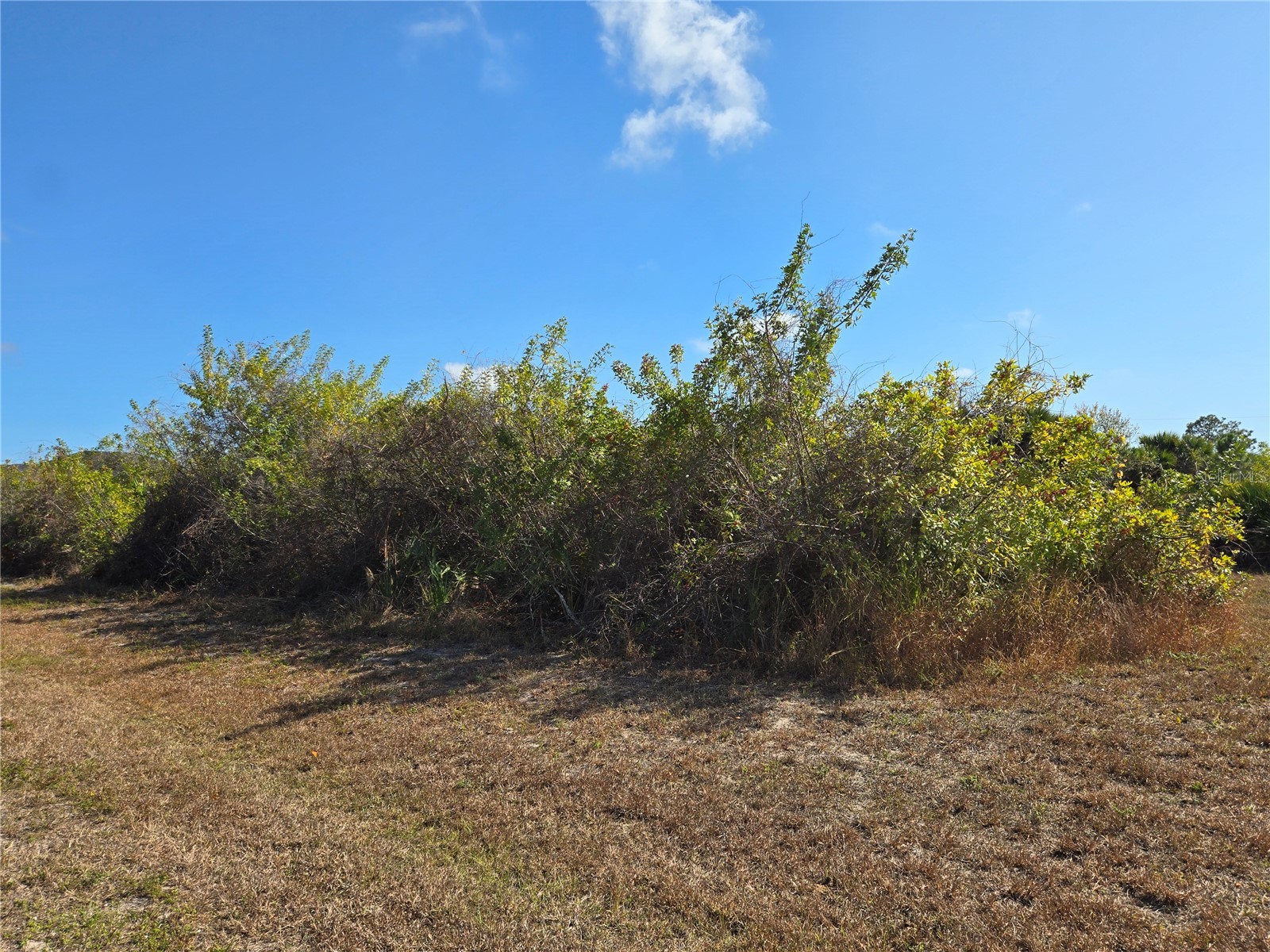 277 Baytree Drive Rotonda West FL 33947 A4680021 image1