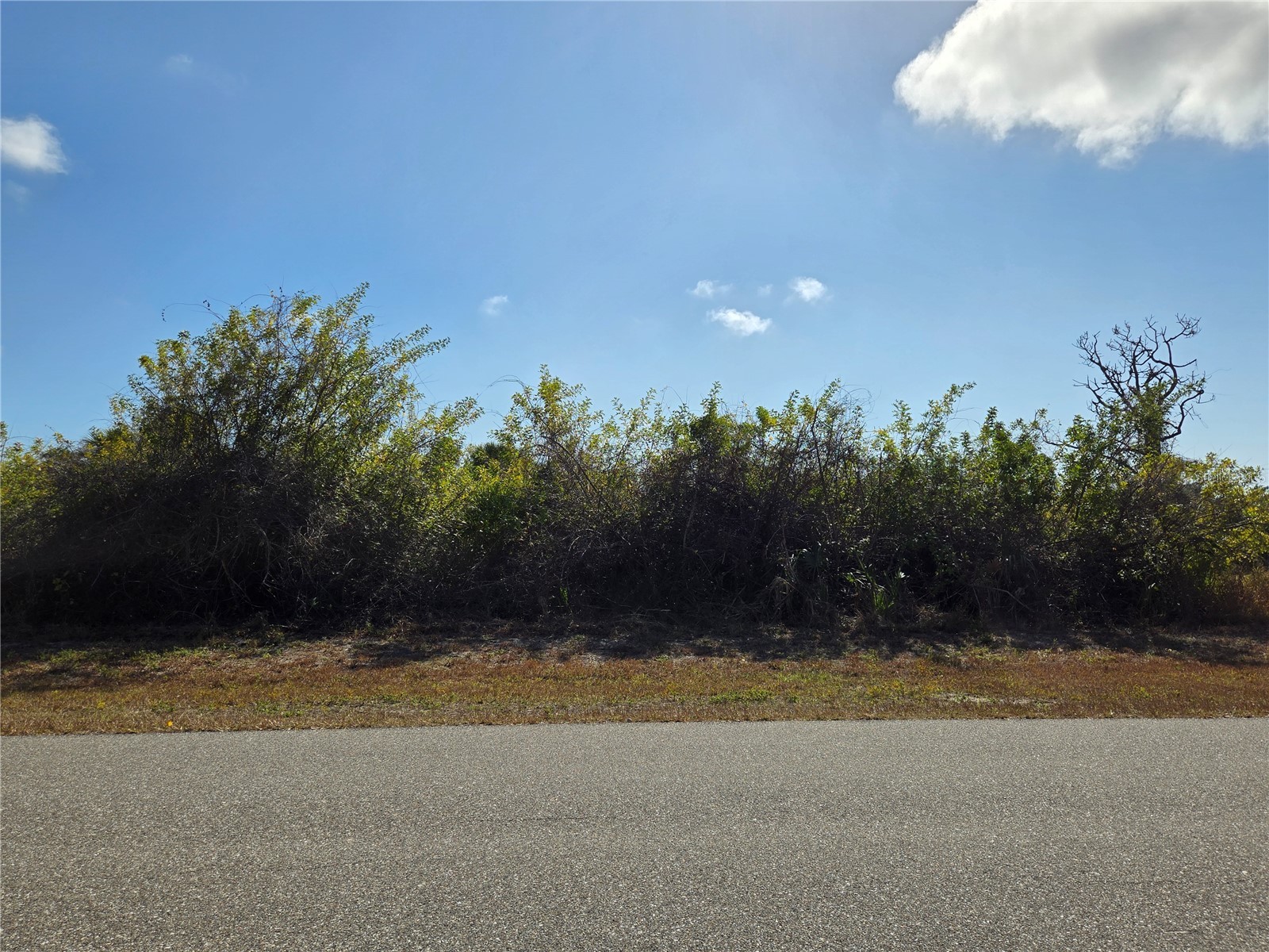 277 Baytree Drive Rotonda West FL 33947 A4680021 image7