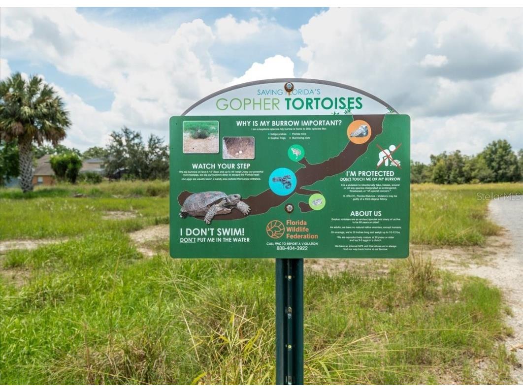 277 Magneta Loop Auburndale FL 33823 TB8413418 image40