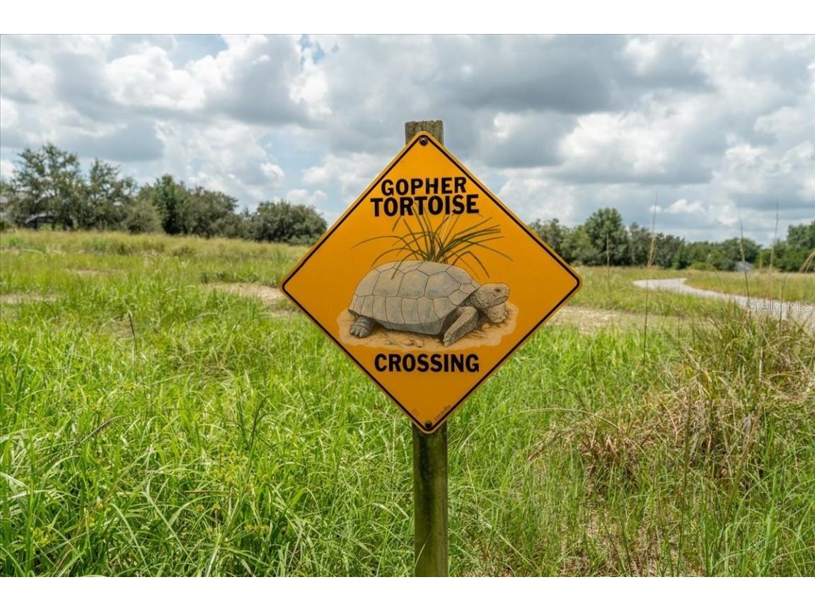 277 Magneta Loop Auburndale FL 33823 TB8413418 image41