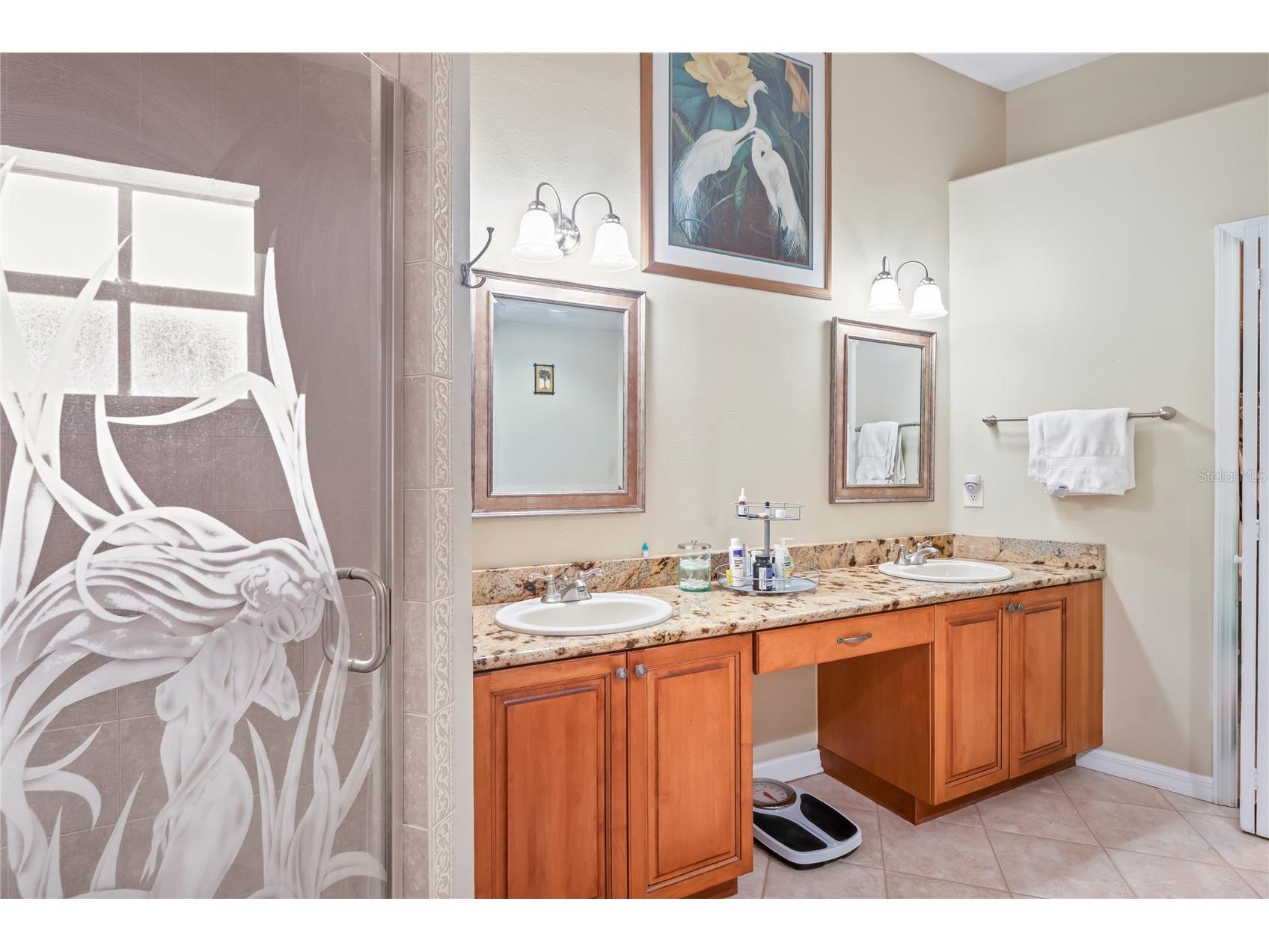 277 Wood Dove Avenue Tarpon Springs FL 34689 TB8399027 image26