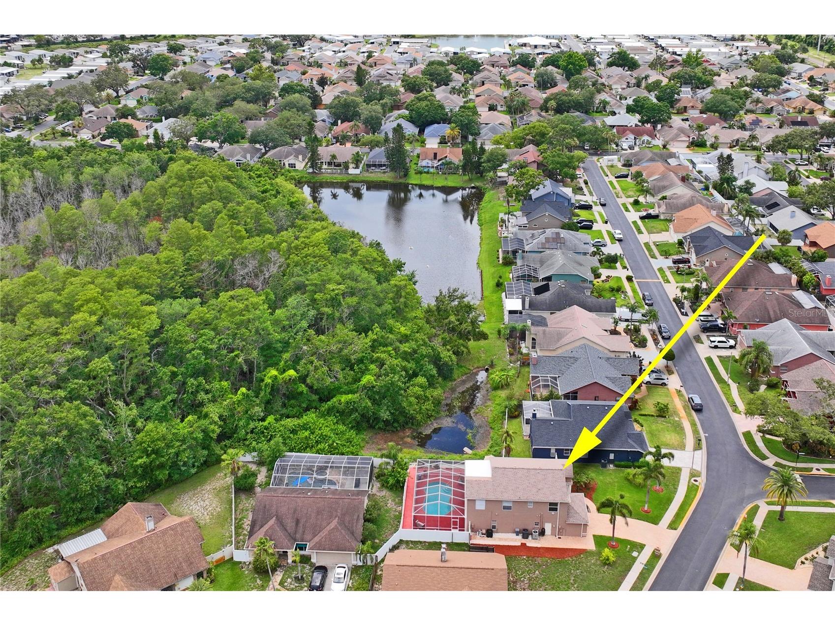 277 Wood Dove Avenue Tarpon Springs FL 34689 TB8399027 image76