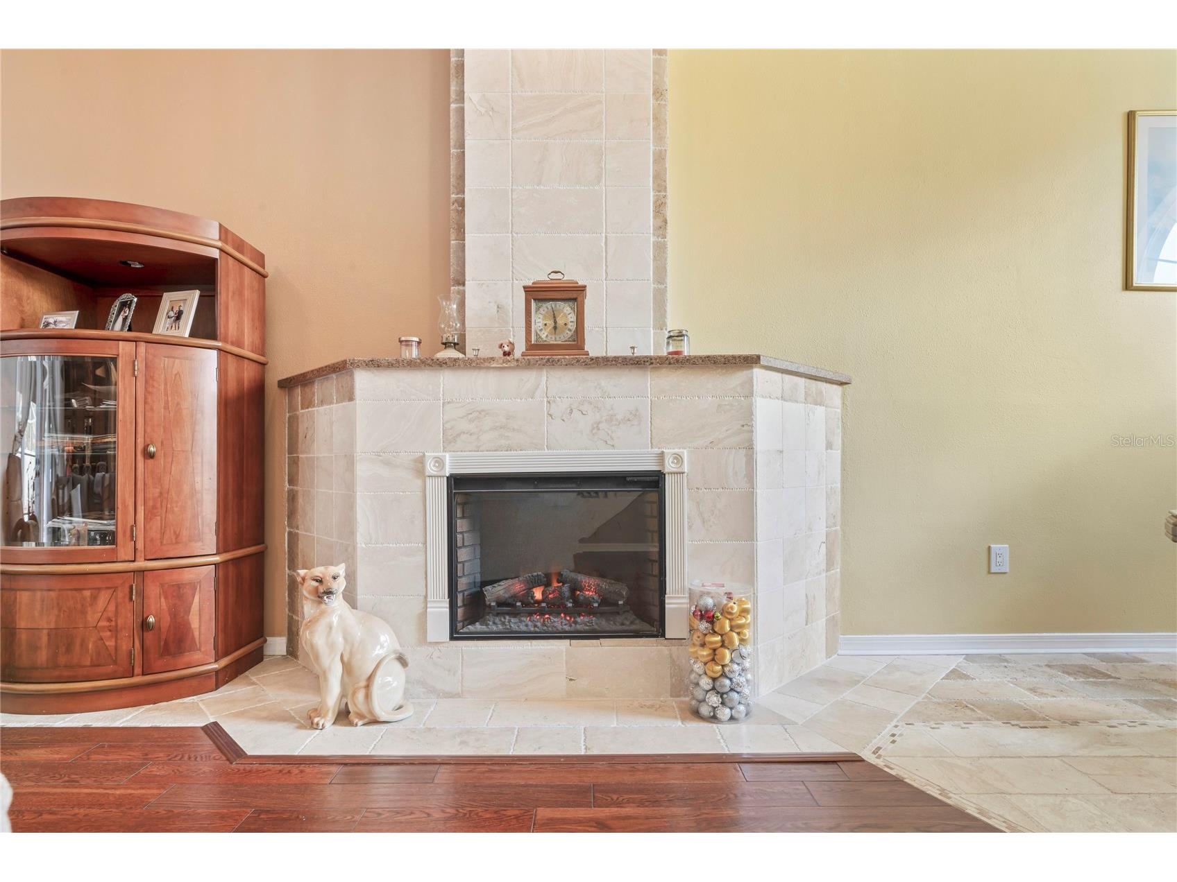 277 Wood Dove Avenue Tarpon Springs FL 34689 TB8399027 image9