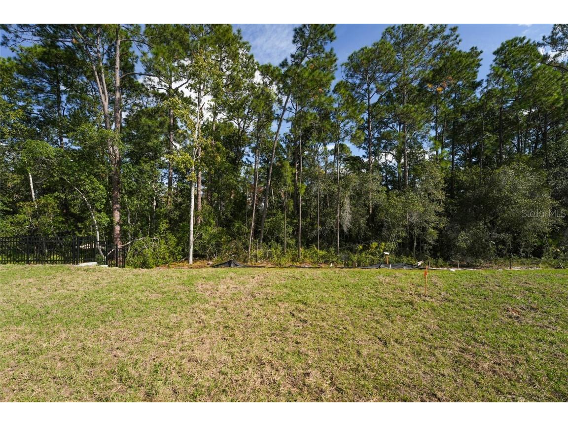 2770 Raindrop Run Street Clermont FL 34714 O6363589 image20