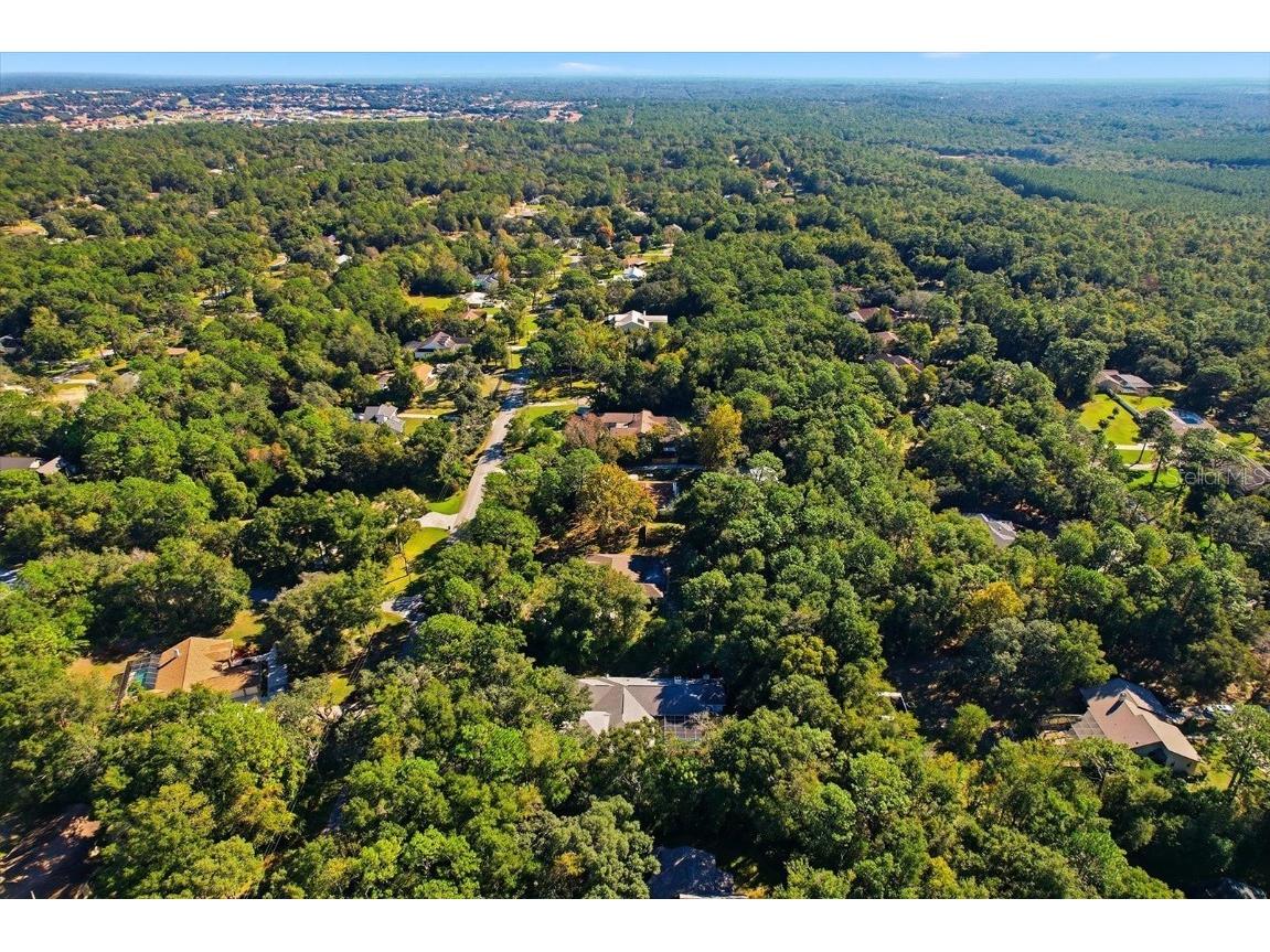 2770 W Antioch Lane Lecanto FL 34461 OM711906 image34