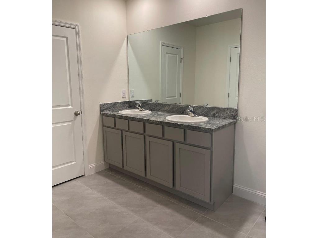 2771 Common Fig Run Wesley Chapel FL 33543 TB8447436 image10