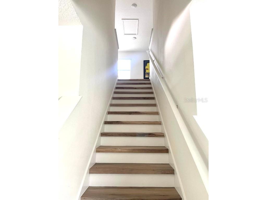 2771 Common Fig Run Wesley Chapel FL 33543 TB8447436 image8