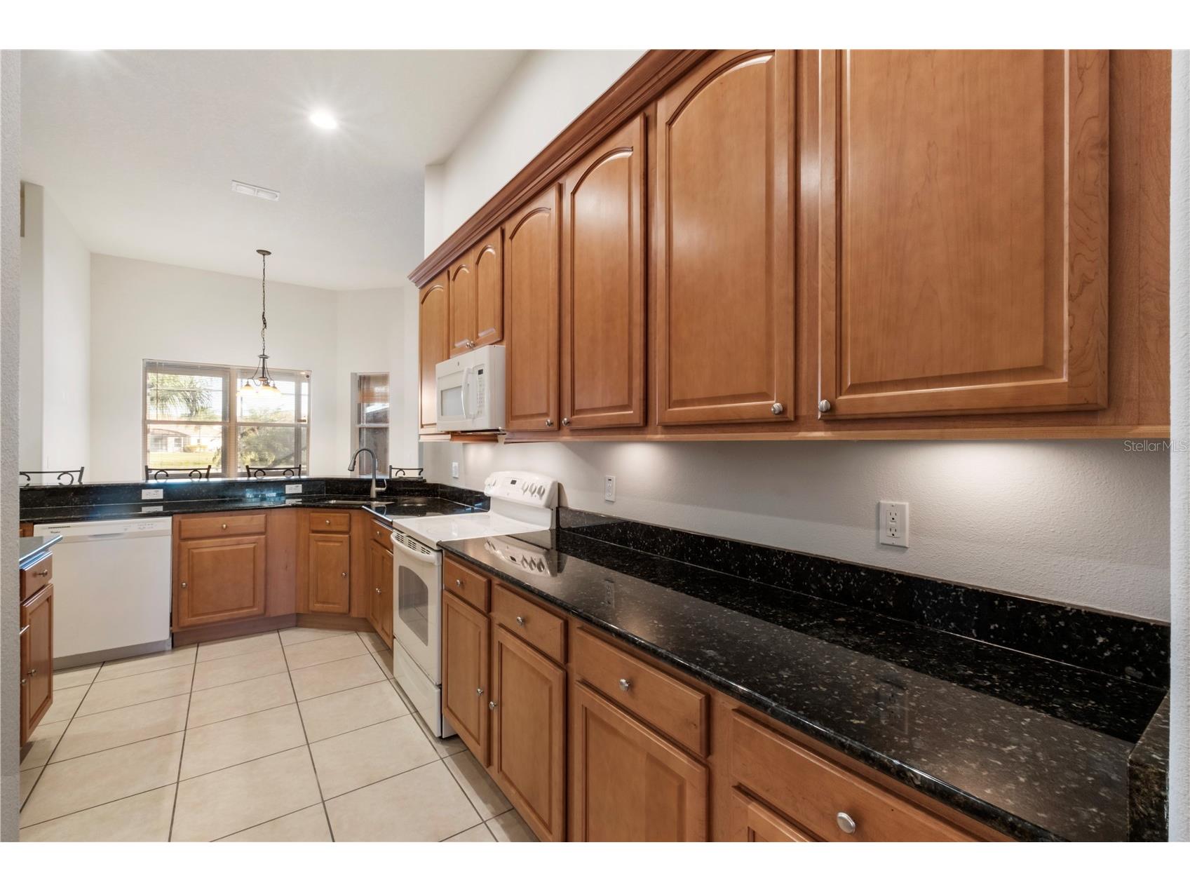 2771 Swoop Circle Kissimmee FL 34741 O6381024 image26