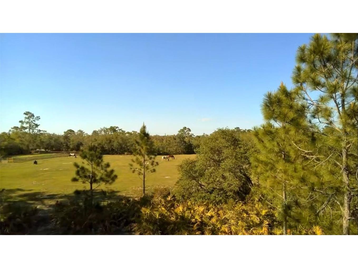 2772 Indian Pipes Trail Frostproof FL 33843 P4933424 image30