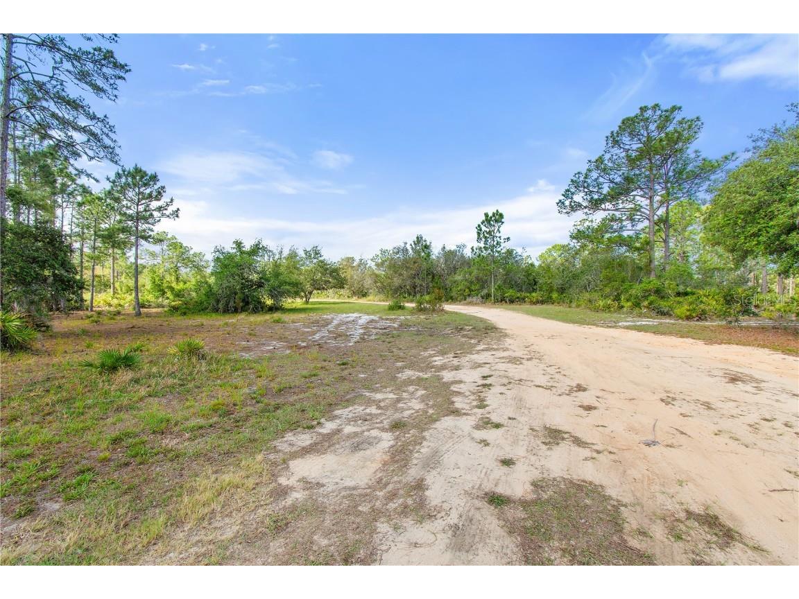 2772 Indian Pipes Trail Frostproof FL 33843 P4933424 image33