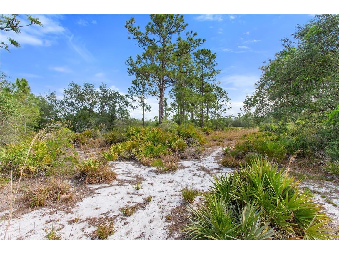 2772 Indian Pipes Trail Frostproof FL 33843 P4933424 image36