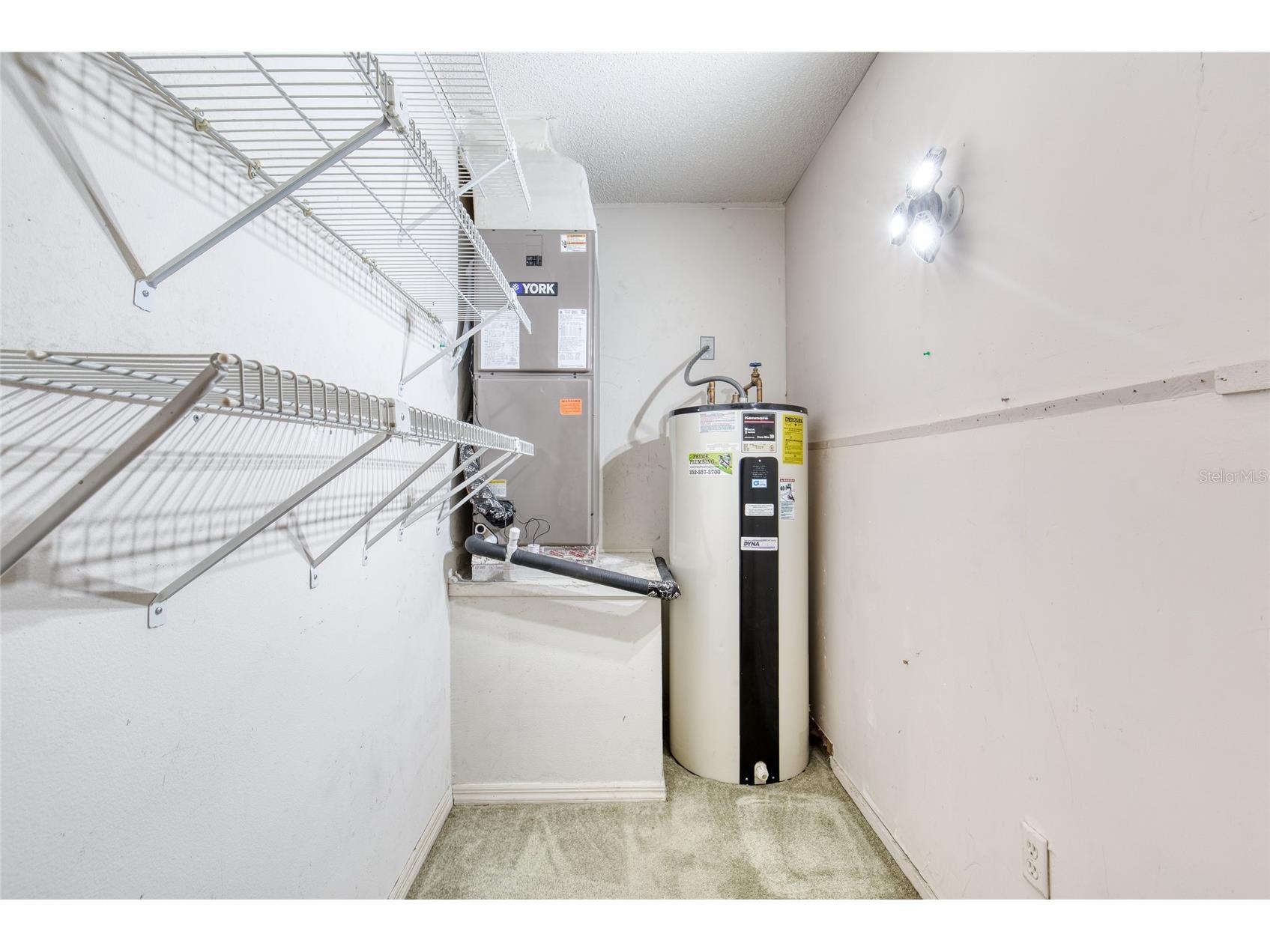 27727 Lois Drive Tavares FL 32778 V4947831 image26