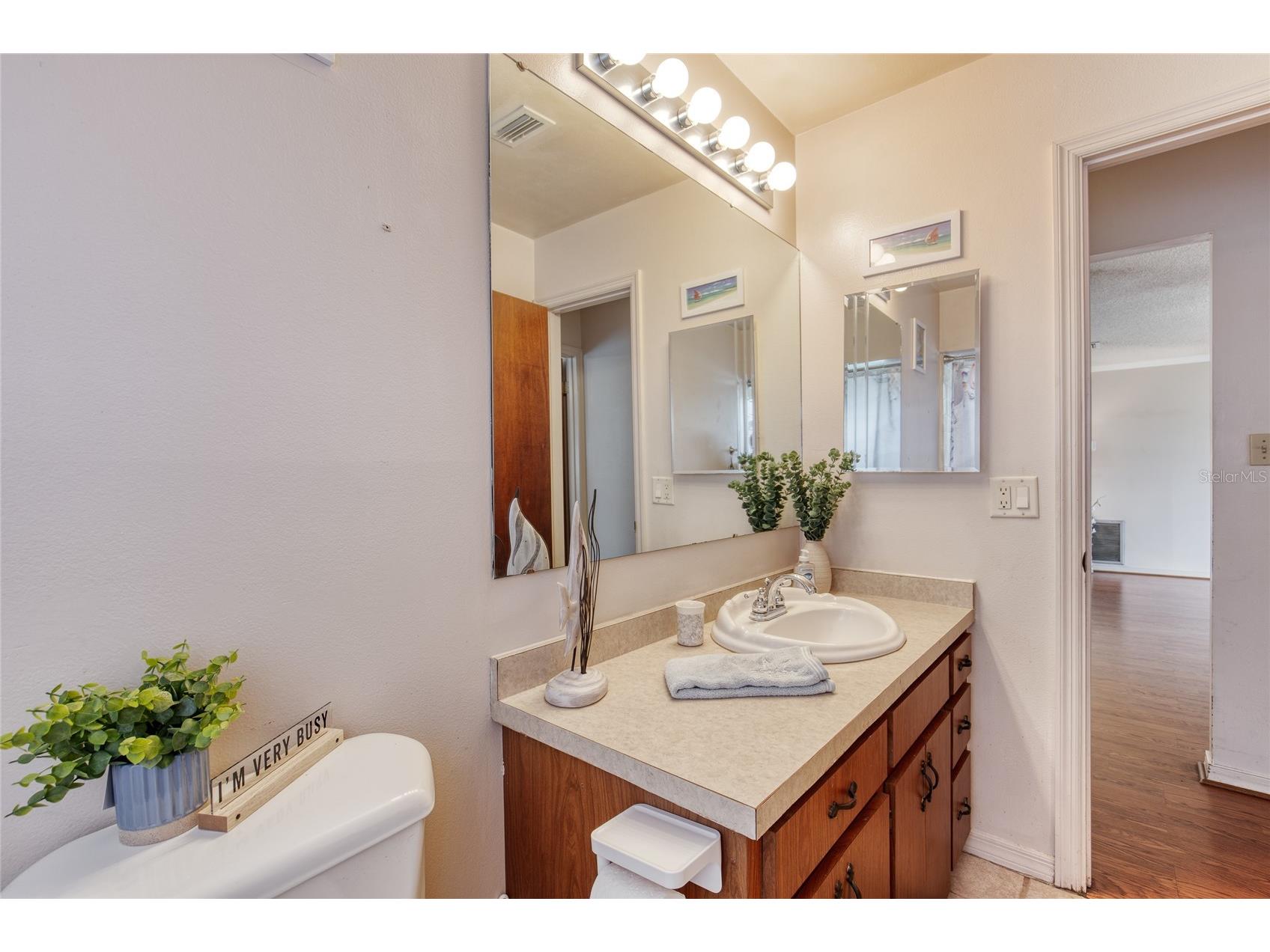 27727 Lois Drive Tavares FL 32778 V4947831 image34