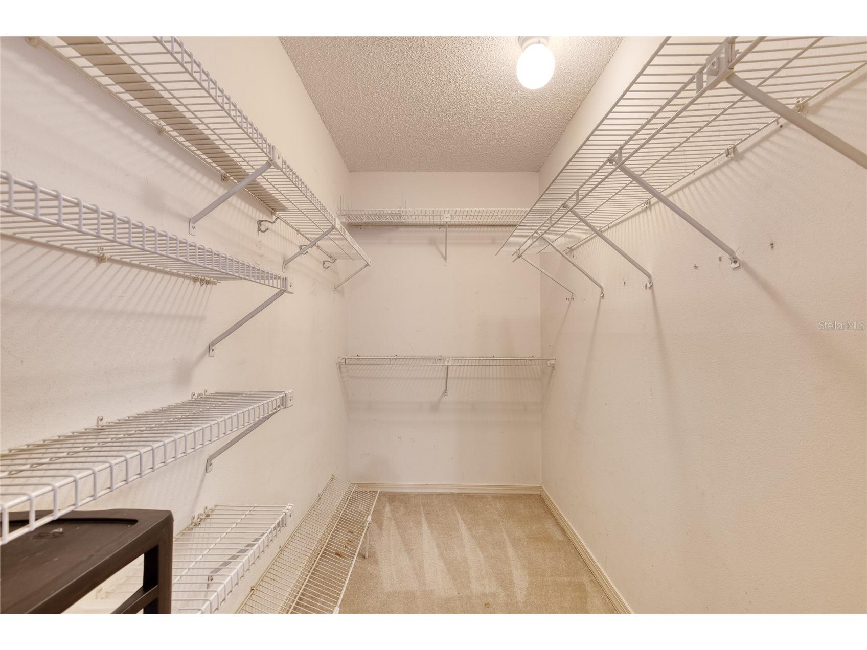 27727 Lois Drive Tavares FL 32778 V4947831 image41