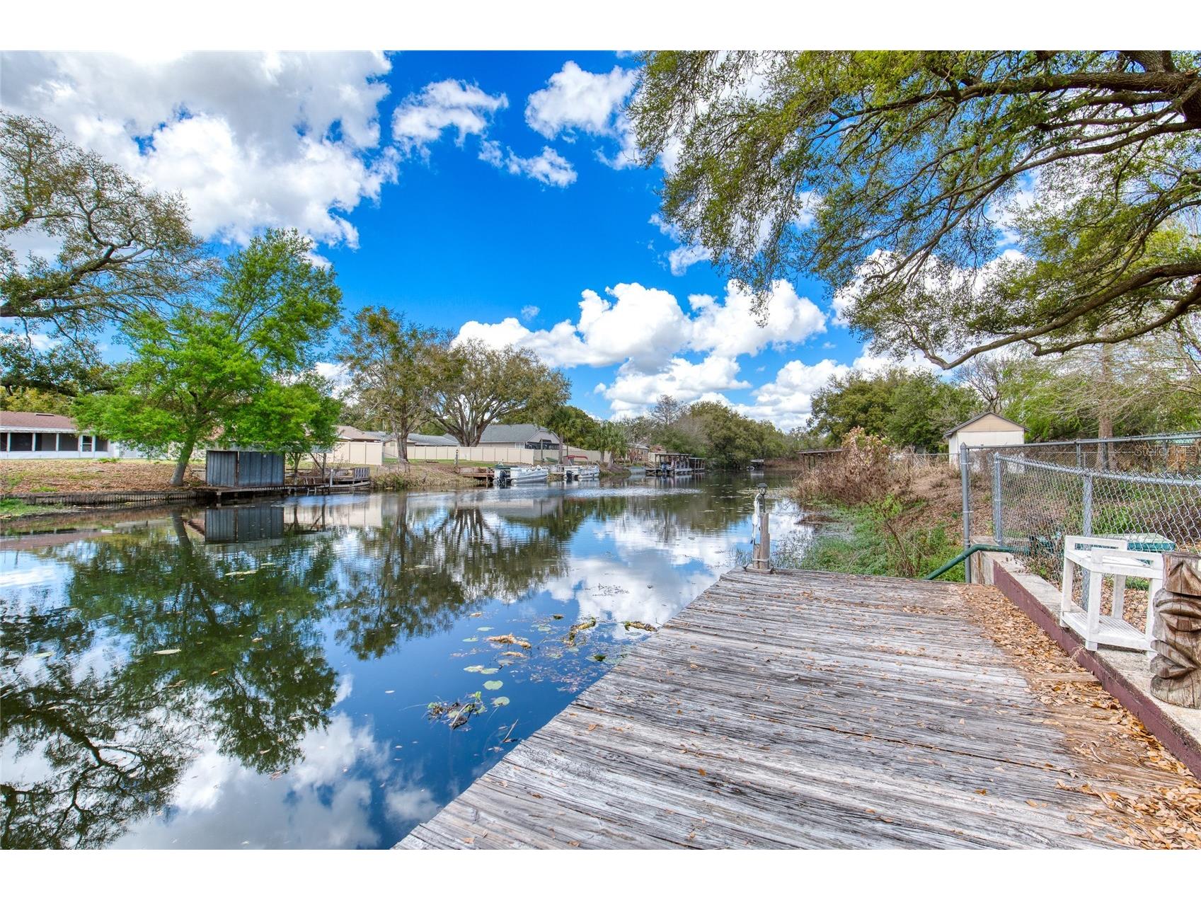 27727 Lois Drive Tavares FL 32778 V4947831 image47