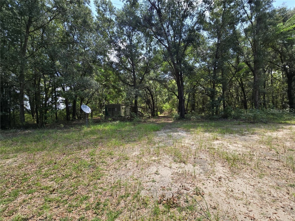 27727 SW 120 Lane Lane Newberry FL 32669 GC524445 image1