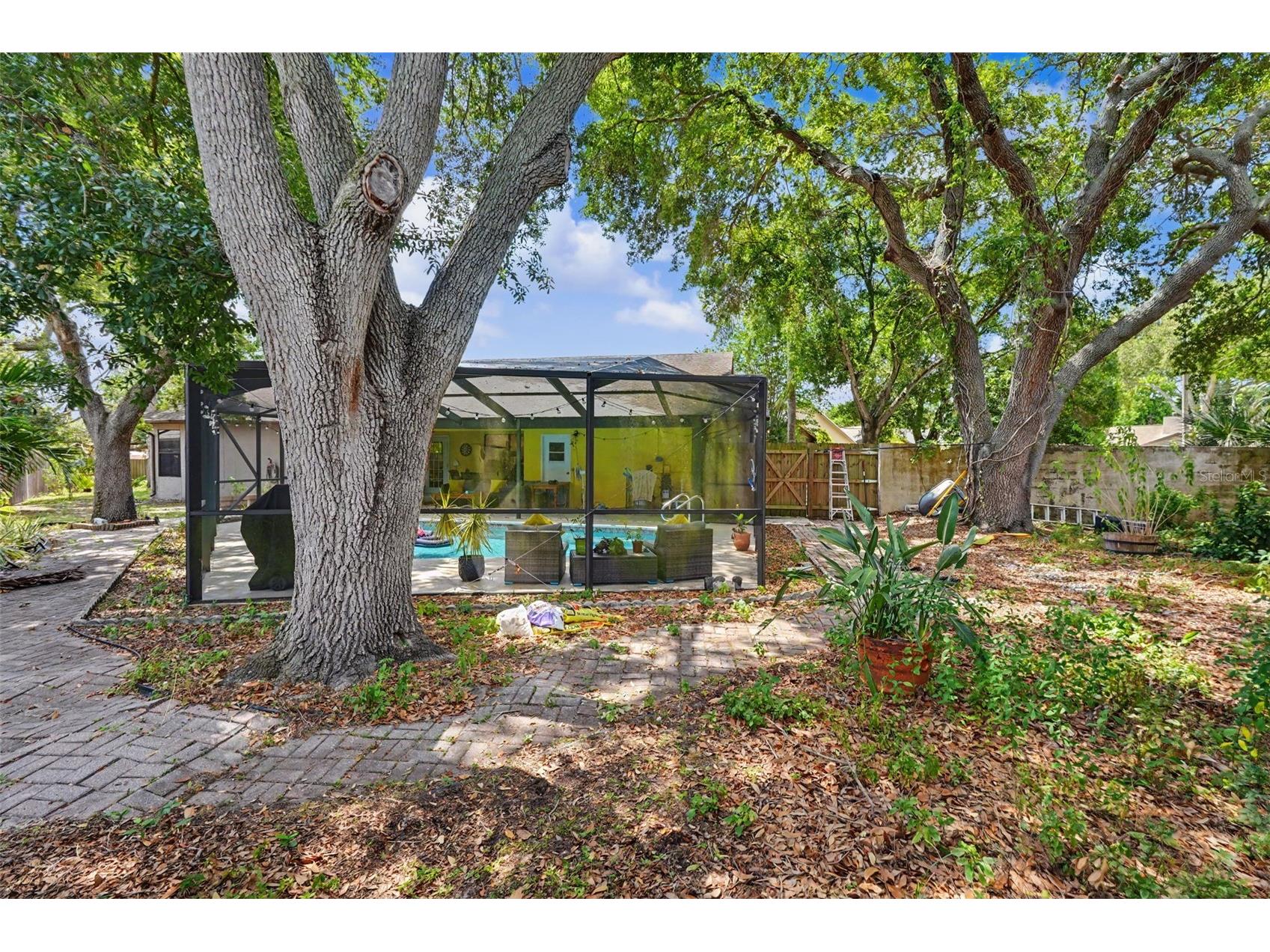 2773 Jeffrey Drive Palm Harbor FL 34684 TB8522527 image42