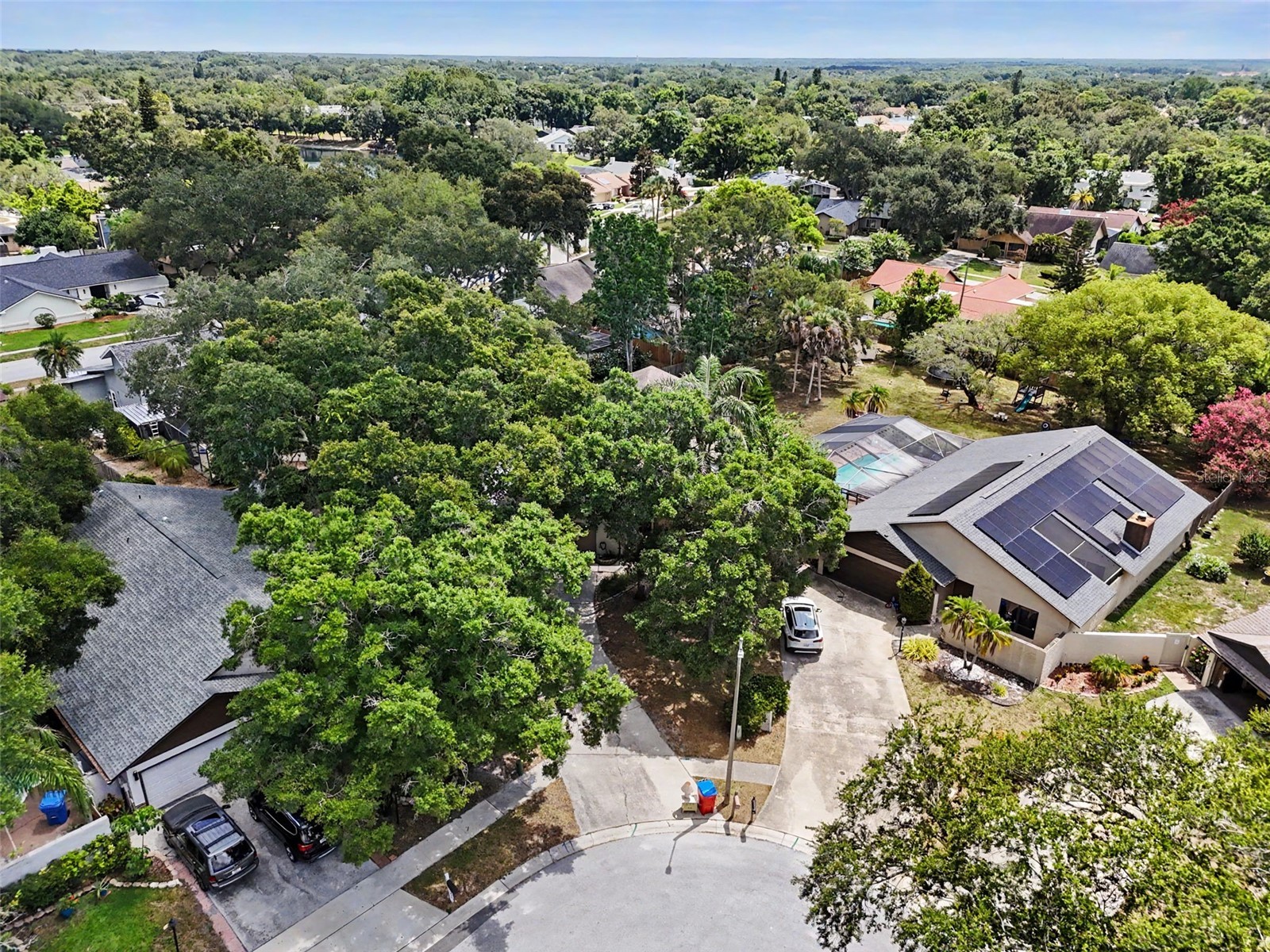 2773 Jeffrey Drive Palm Harbor FL 34684 TB8522527 image47