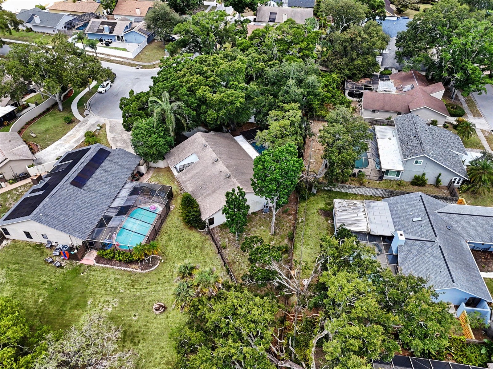 2773 Jeffrey Drive Palm Harbor FL 34684 TB8522527 image49