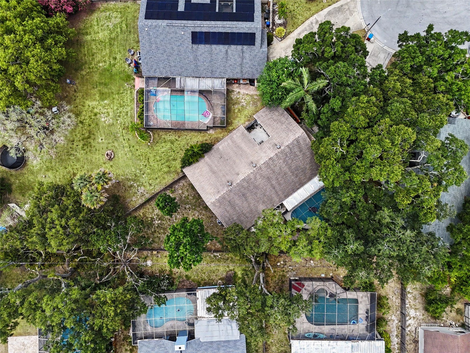 2773 Jeffrey Drive Palm Harbor FL 34684 TB8522527 image50