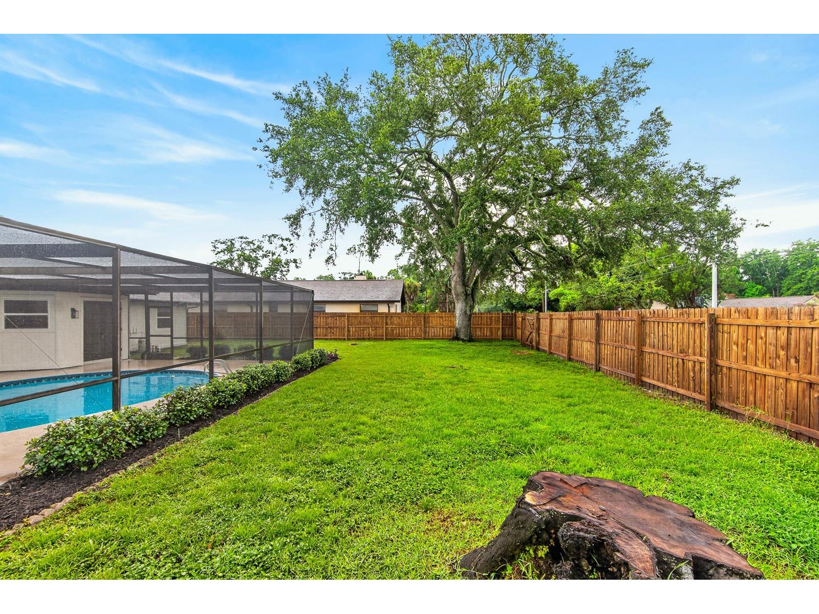 2773 Valencia Lane W Palm Harbor FL 34684 TB8525901 image38