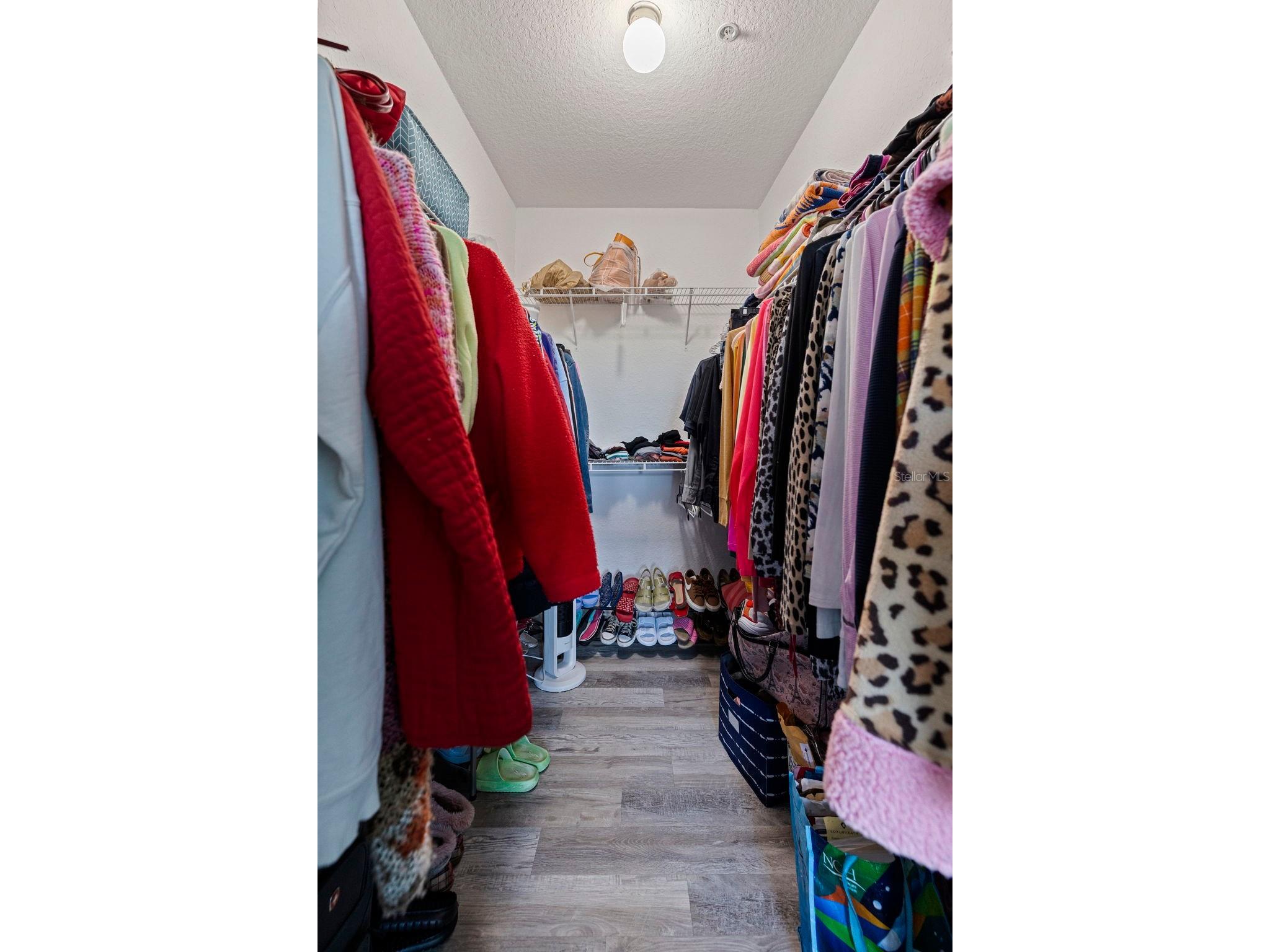 2773 Via Cipriani #1321B Clearwater FL 33764 TB8484012 image24