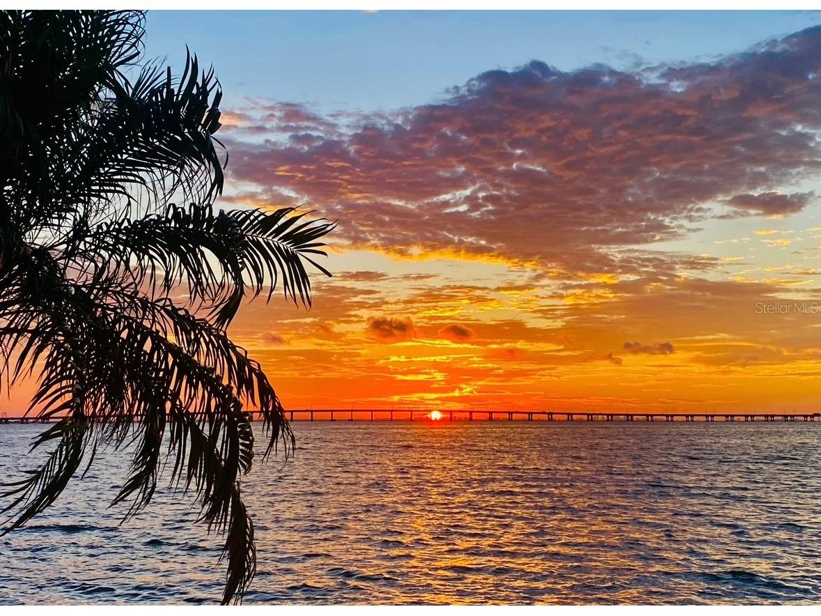 2773 Via Cipriani #1321B Clearwater FL 33764 TB8484012 image53