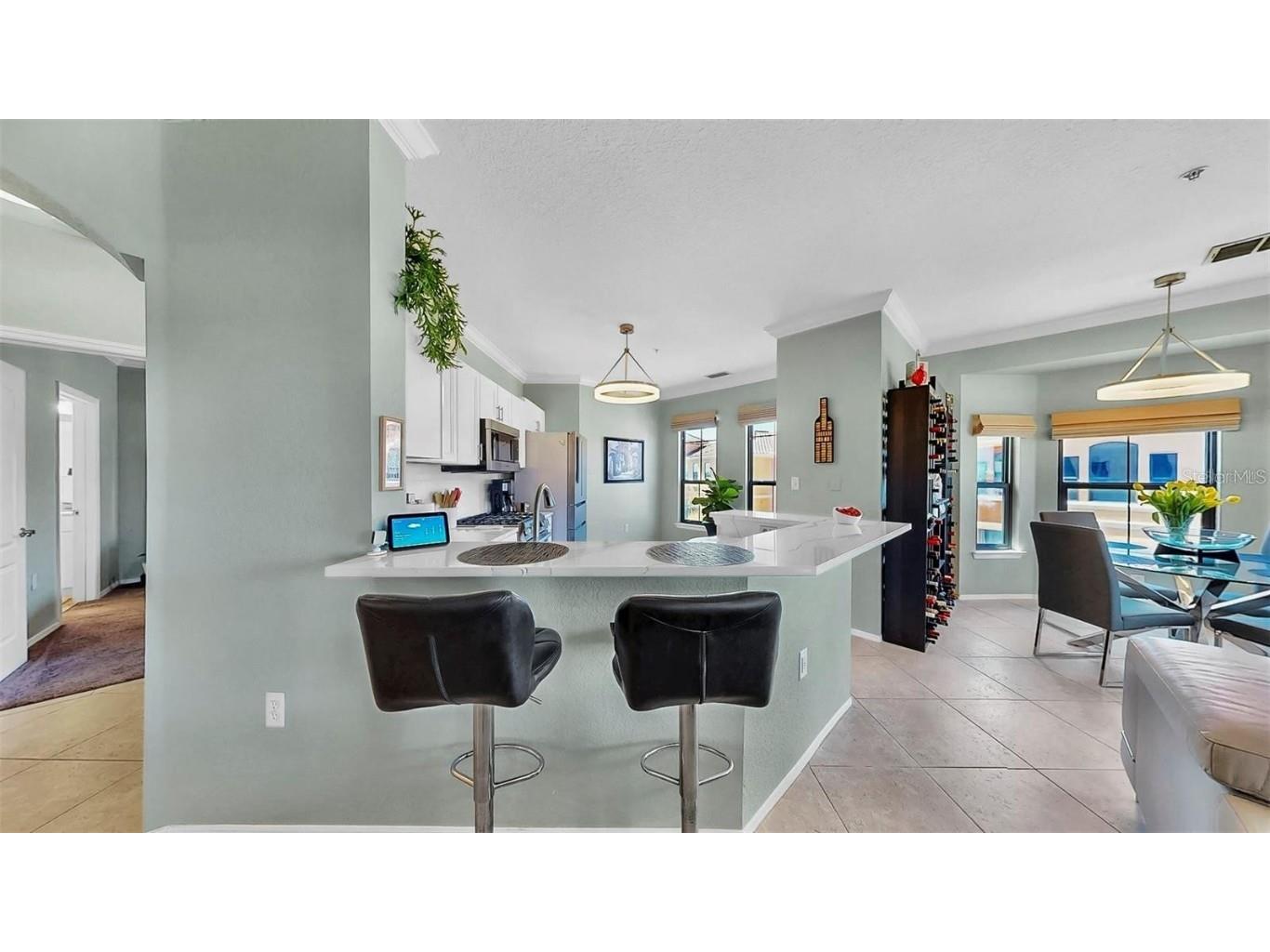 2773 Via Cipriani #1330B Clearwater FL 33764 - INLET FROM OLD TAMPA BAY TB8440698 image10