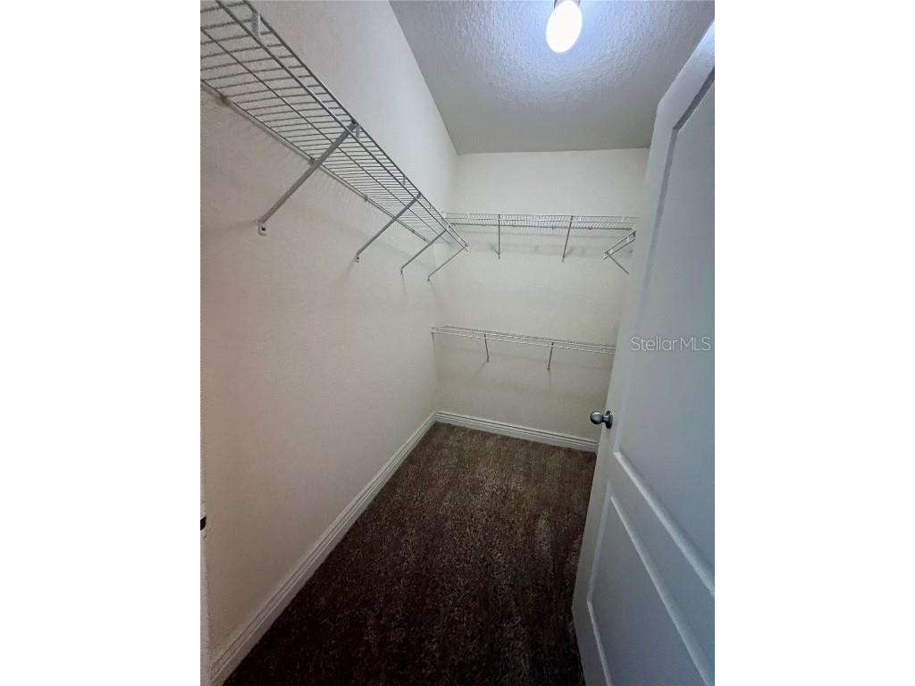 2773 Via Cipriani #1331A Clearwater FL 33764 TB8446274 image14