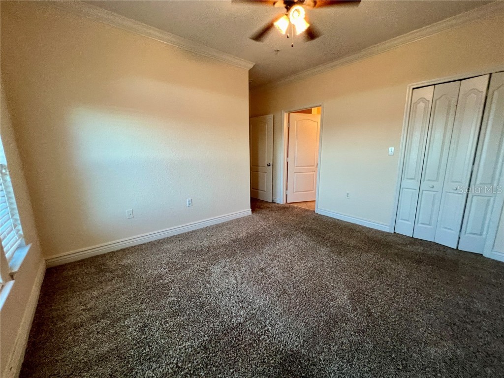 2773 Via Cipriani #1331A Clearwater FL 33764 TB8446274 image16