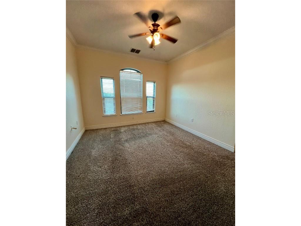 2773 Via Cipriani #1331A Clearwater FL 33764 TB8446274 image17