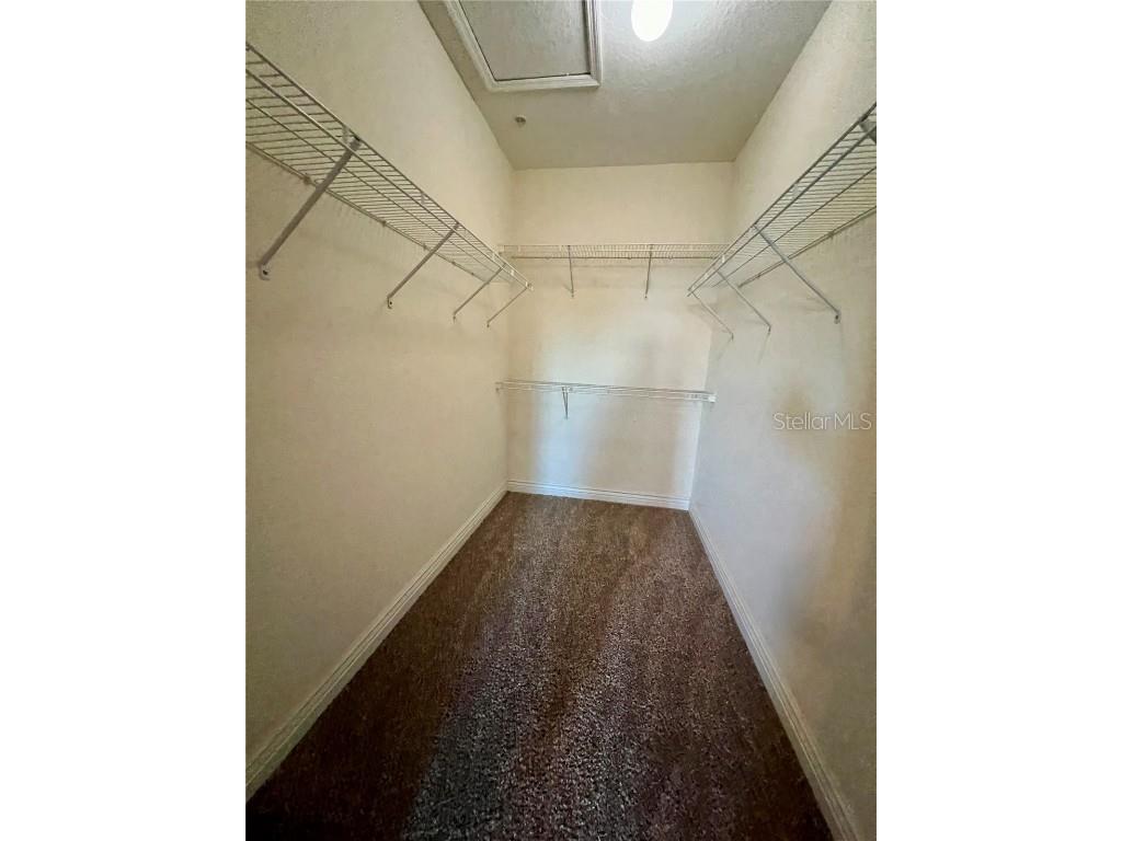 2773 Via Cipriani #1331A Clearwater FL 33764 TB8446274 image19