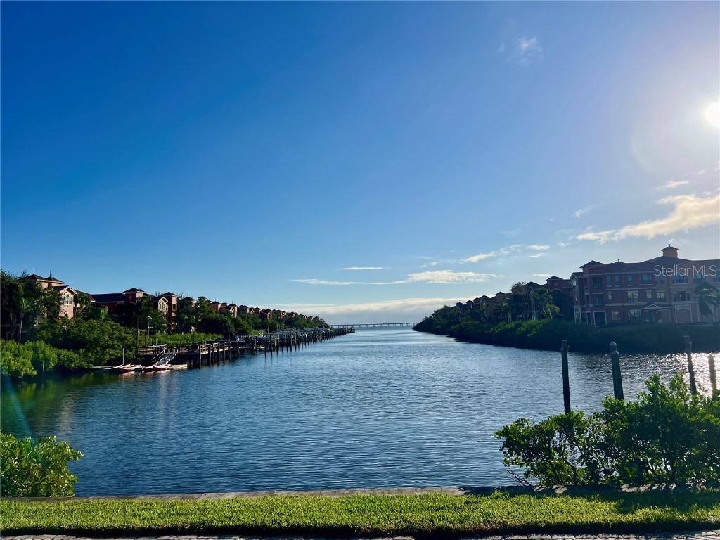 2773 Via Cipriani #1331A Clearwater FL 33764 TB8446274 image22