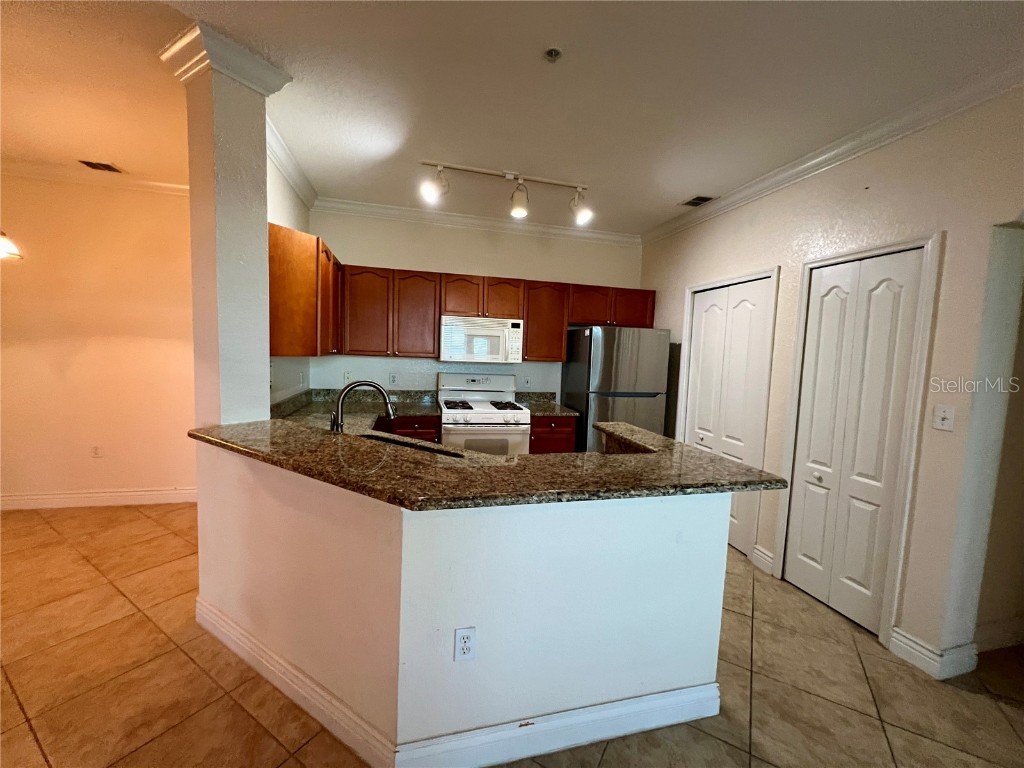 2773 Via Cipriani #1331A Clearwater FL 33764 TB8446274 image6