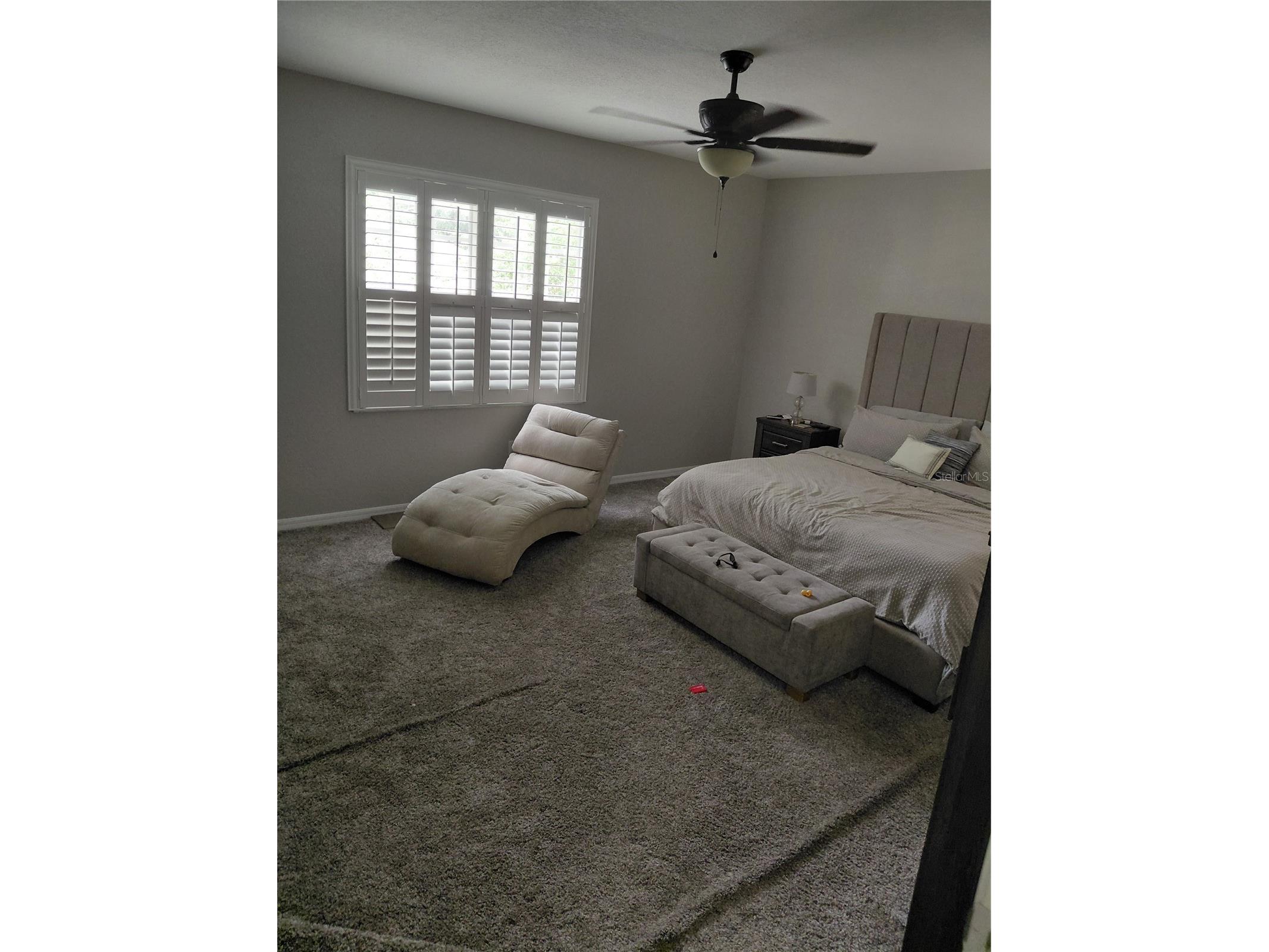 27730 Kirkwood Circle Wesley Chapel FL 33544 TB8507996 image20