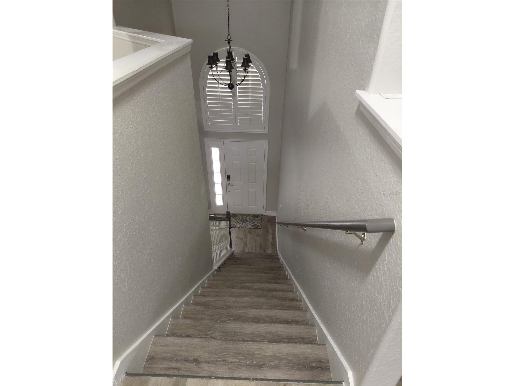 27730 Kirkwood Circle Wesley Chapel FL 33544 TB8507996 image21