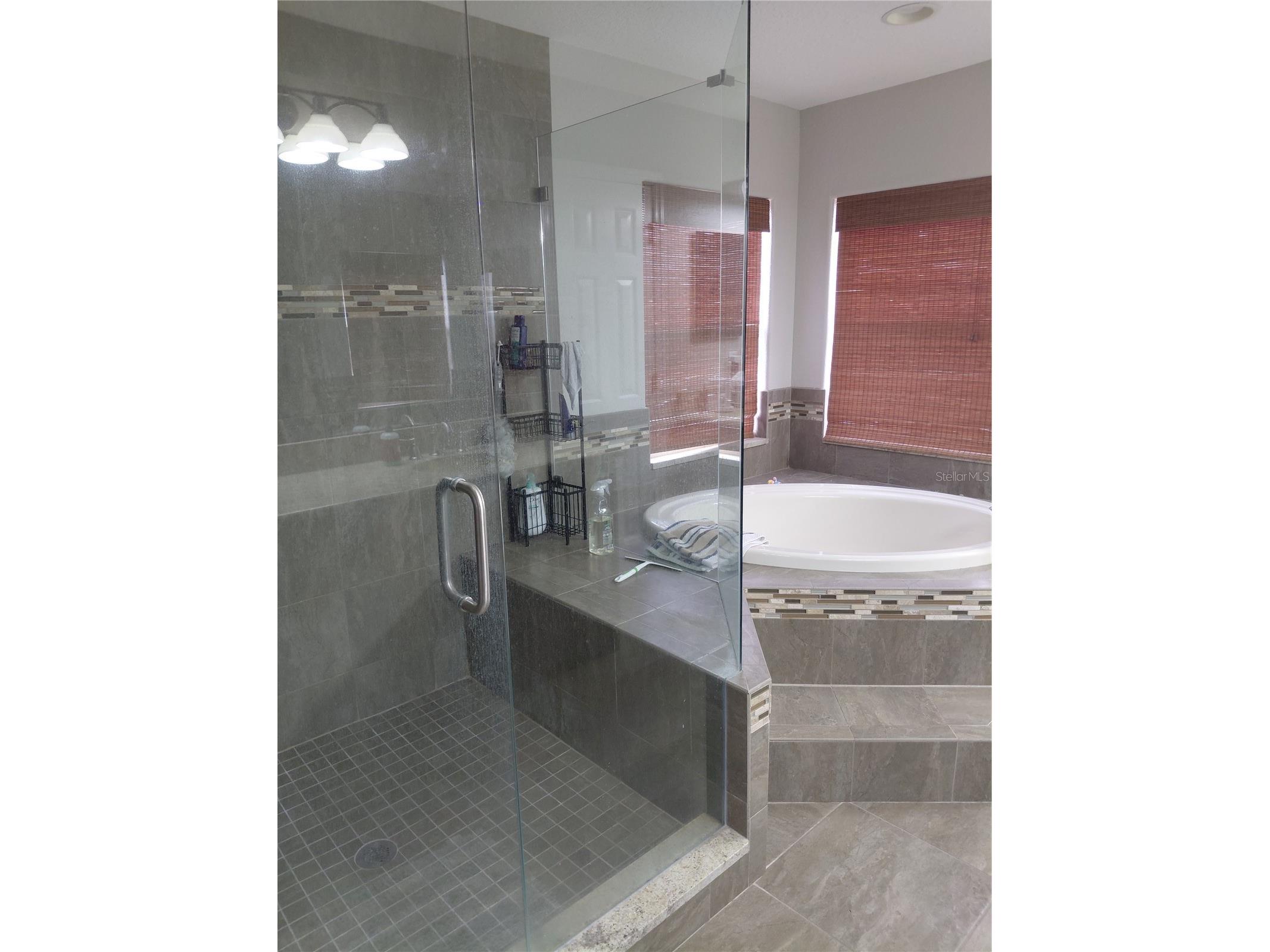 27730 Kirkwood Circle Wesley Chapel FL 33544 TB8507996 image8