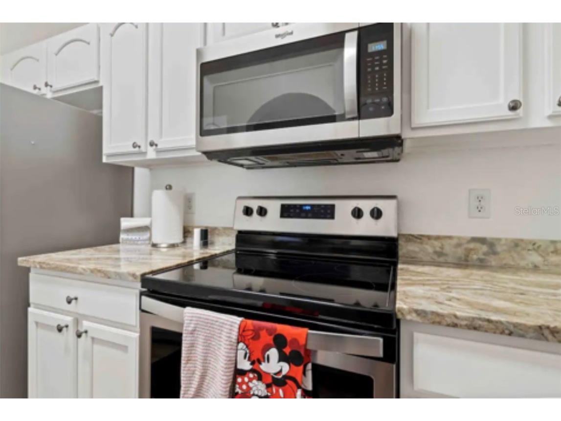 2774 Almaton Loop #402 Kissimmee FL 34747 O6368621 image12