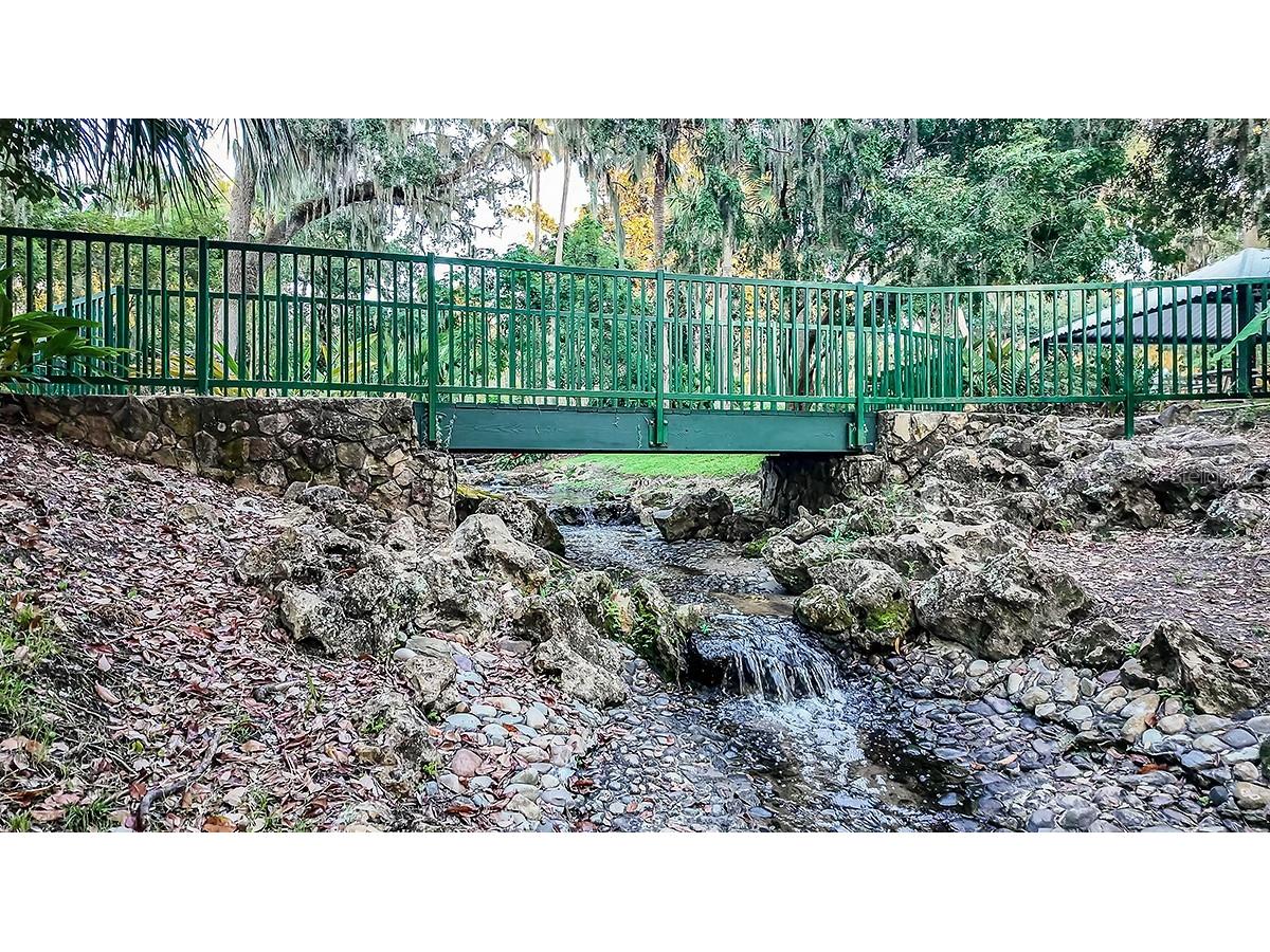 2774 Armadale Drive Mount Dora FL 32757 O6417726 image19