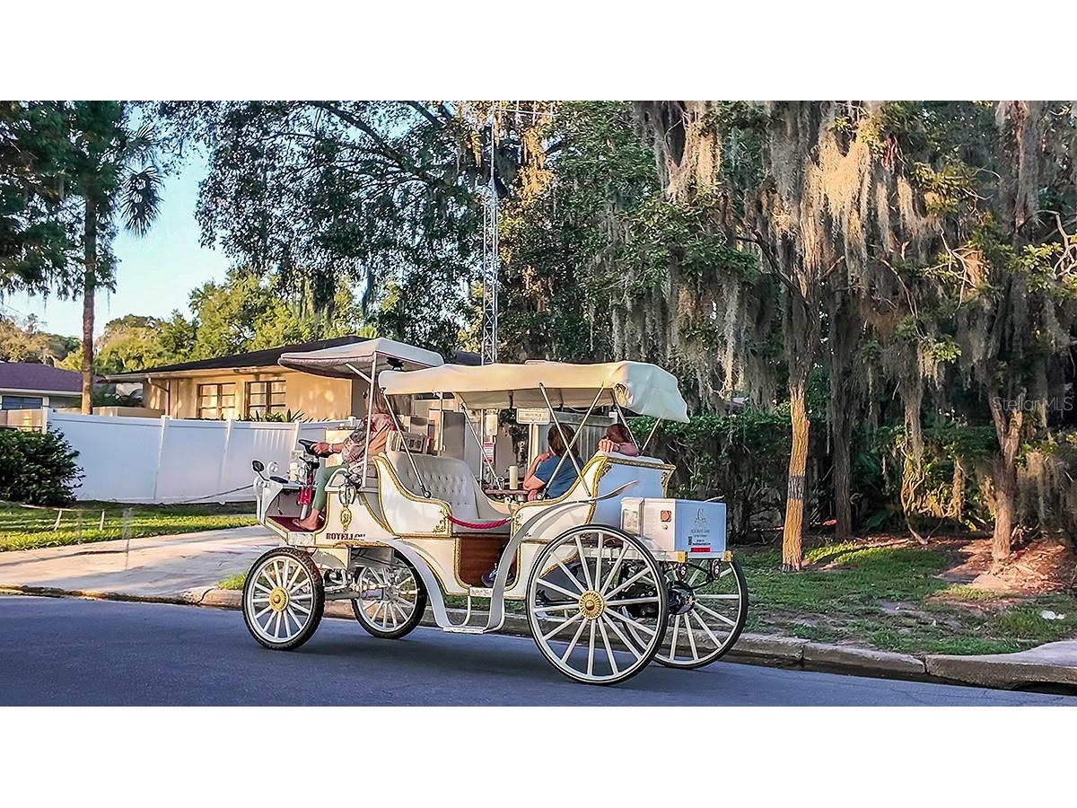 2774 Armadale Drive Mount Dora FL 32757 O6417726 image20