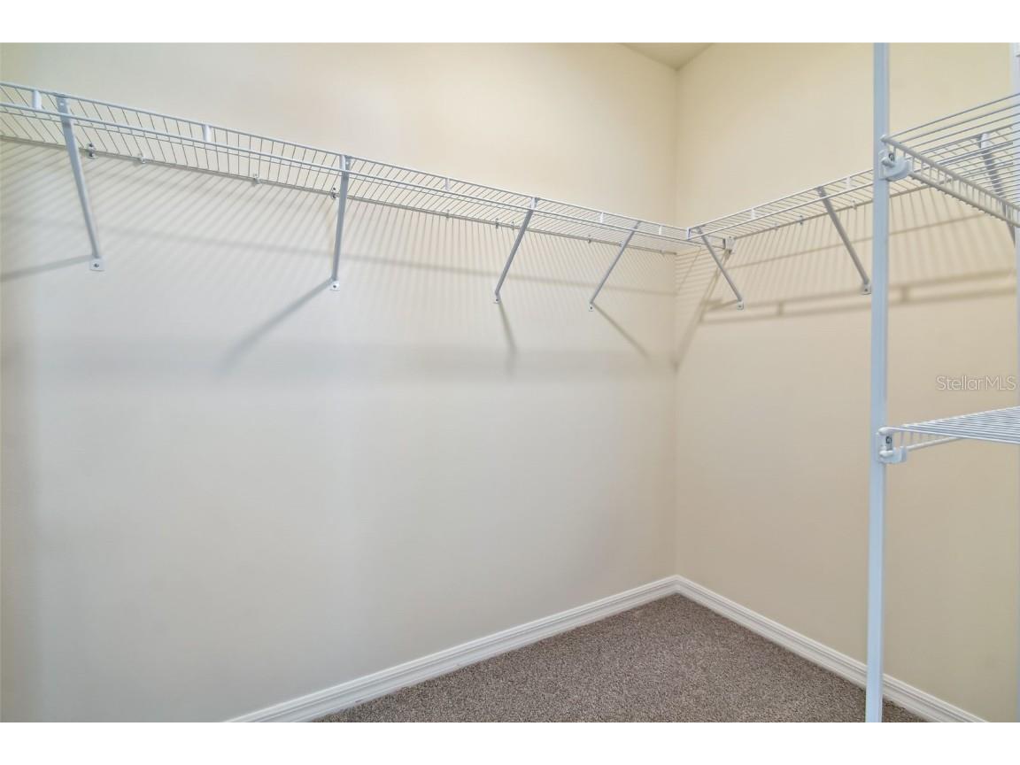 2774 Common Fig Run Wesley Chapel FL 33543 TB8435224 image37