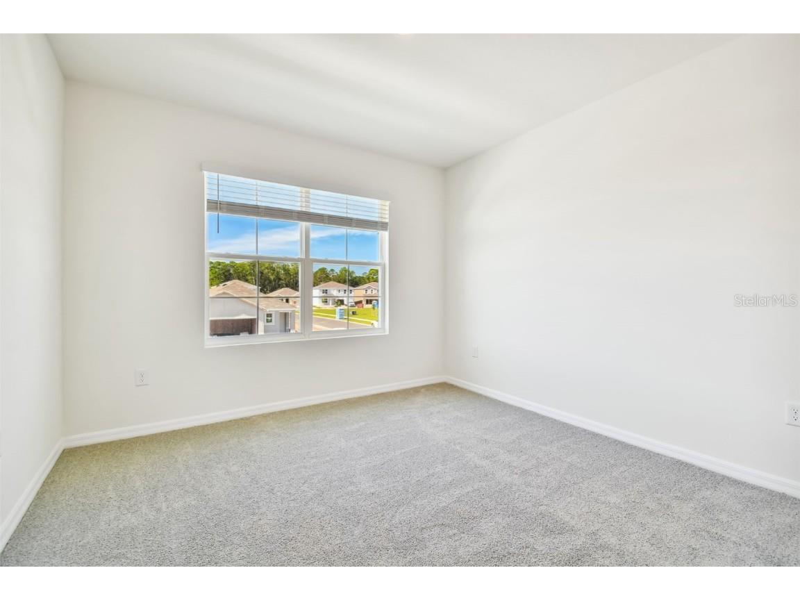 2774 Common Fig Run Wesley Chapel FL 33543 TB8435224 image43