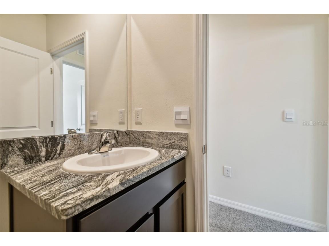 2774 Common Fig Run Wesley Chapel FL 33543 TB8435224 image47