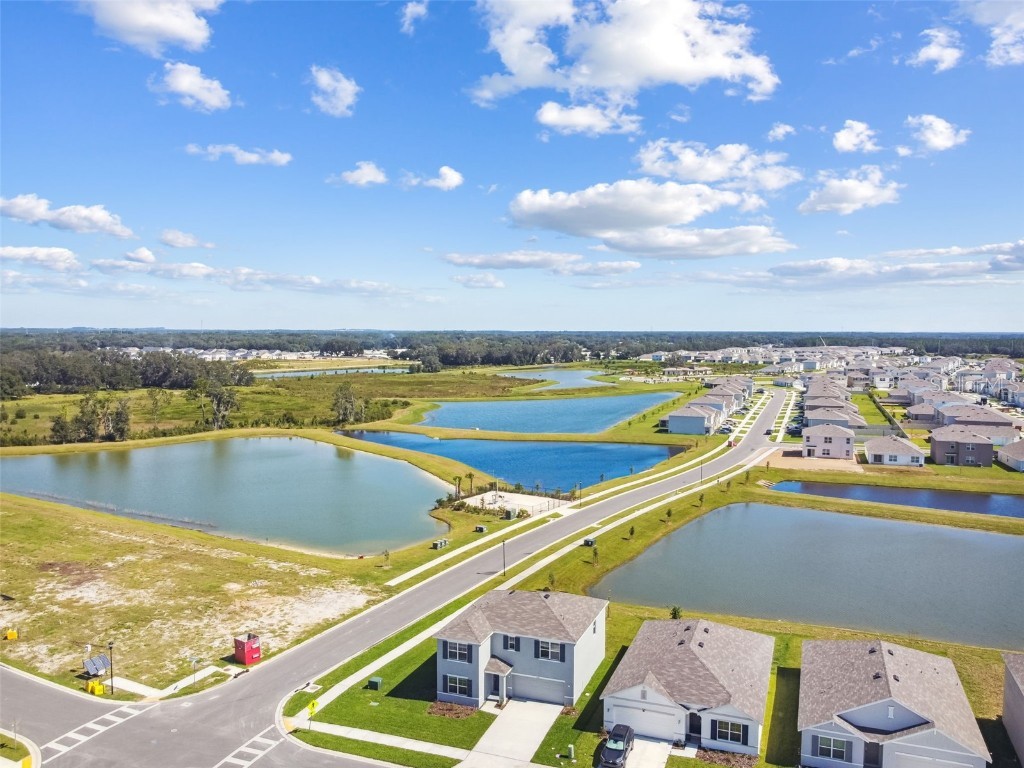 2774 Common Fig Run Wesley Chapel FL 33543 TB8435224 image49