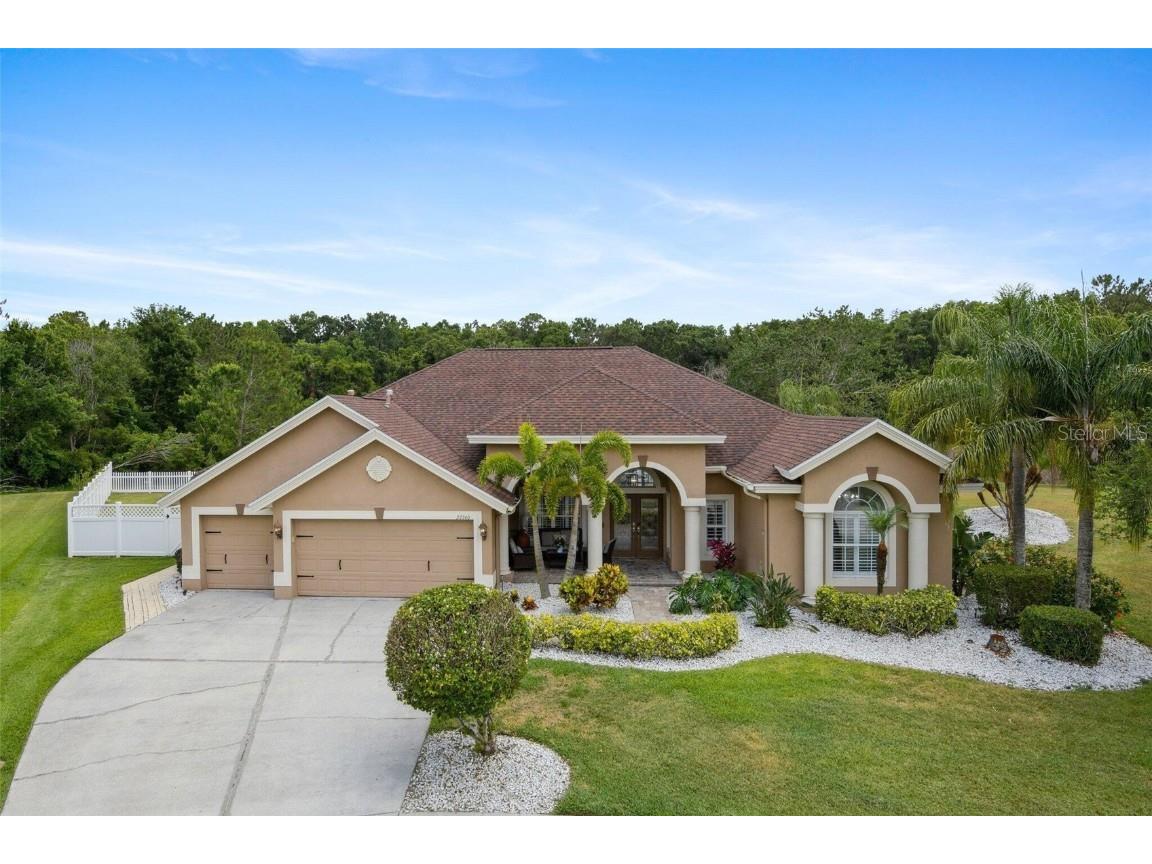 27740 Water Ash Drive Wesley Chapel FL 33544 O6339315 image1