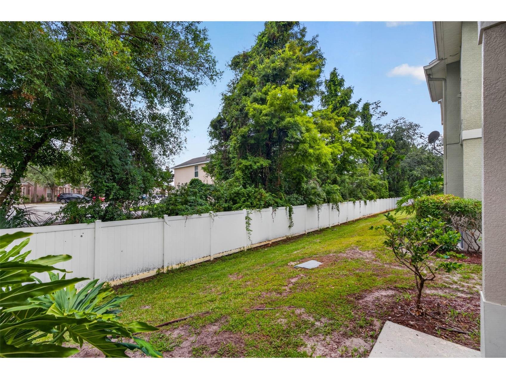 27747 Pleasure Ride Loop Wesley Chapel FL 33544 TB8525053 image22